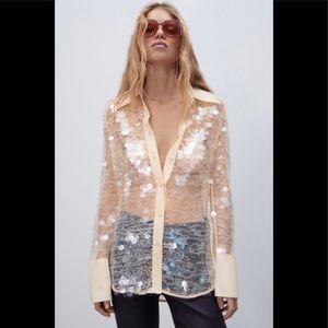 Zara semi sheer sequin top